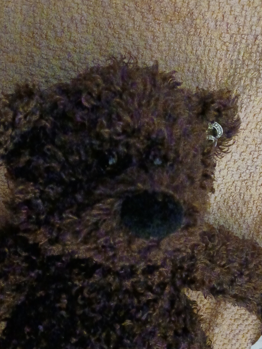 Gund Brown Bear- Luv Me Bear #6449.